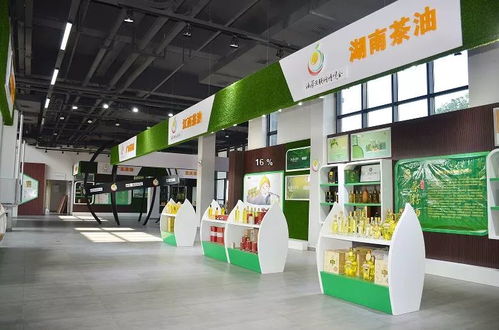 邵阳新增AAA级景区名单公示，趁秋高气爽，来一场技术与自然的融合之旅