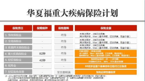 保险代理人的一日安排 从规划到执行的代理代办之路